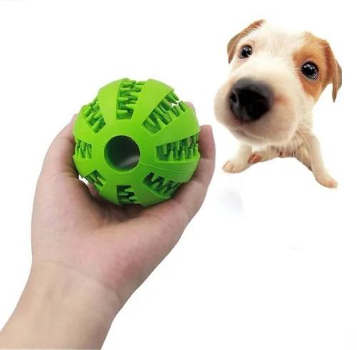 Pelota de mascotas